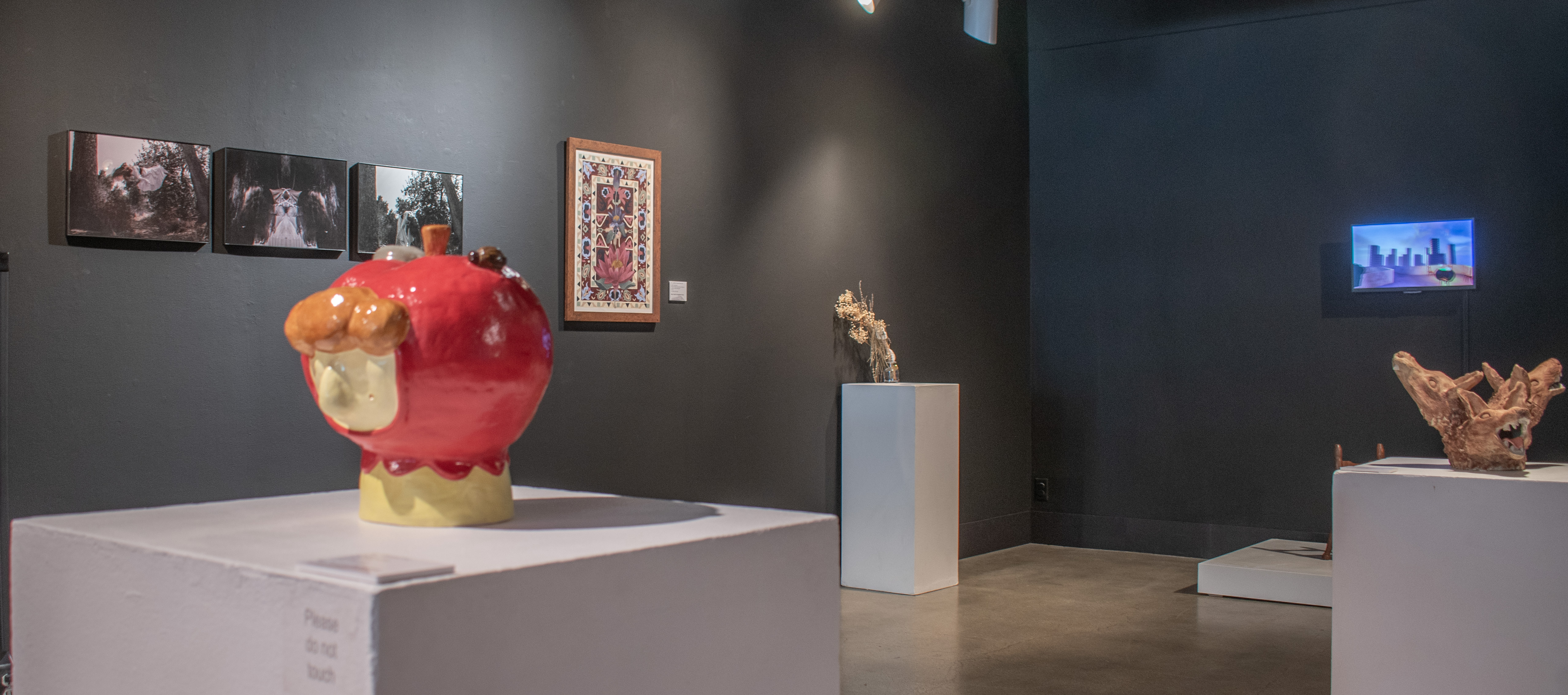Back Gallery installation view